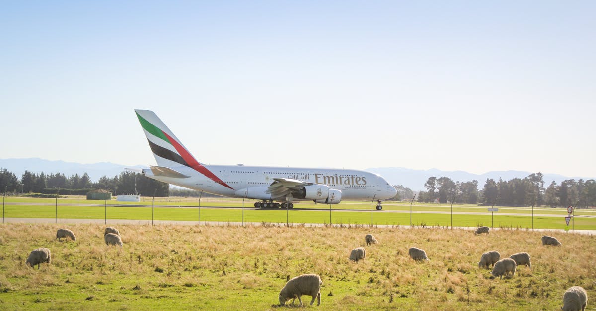 Tips for Clarifying Your Rental Agreement Fees